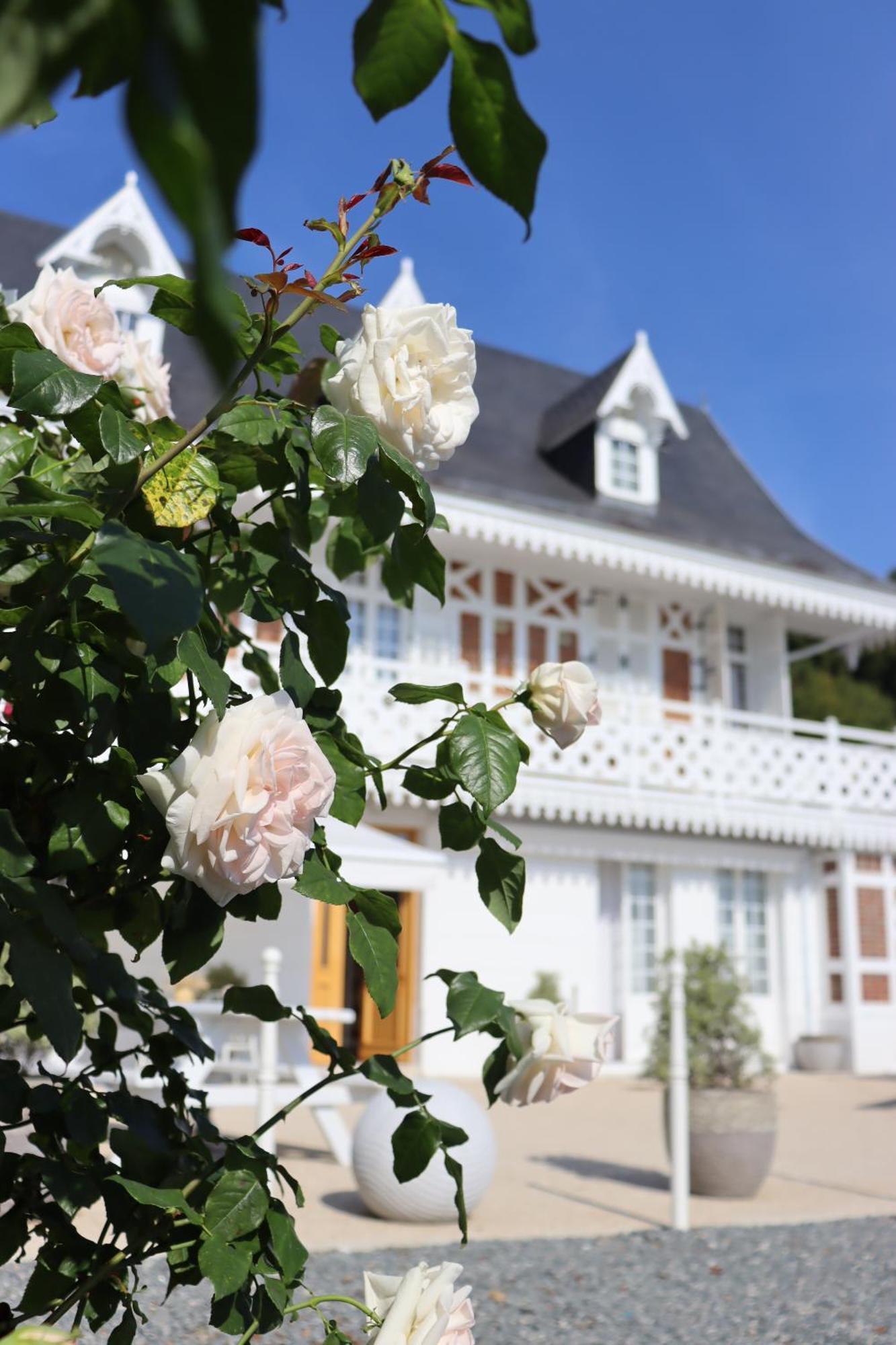 White House, Maison D'Hotes Villequier 외부 사진